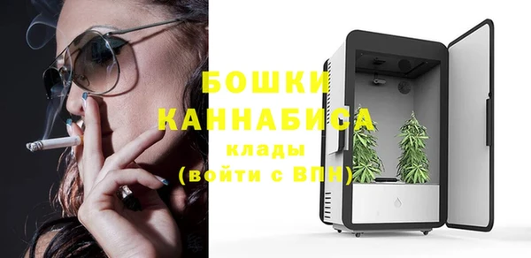 ПСИЛОЦИБИНОВЫЕ ГРИБЫ Богородицк