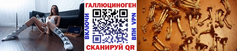 Псилоцибиновые грибы ЛСД как найти Сургут