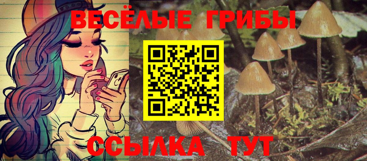 Псилоцибиновые грибы Cubensis Сургут
