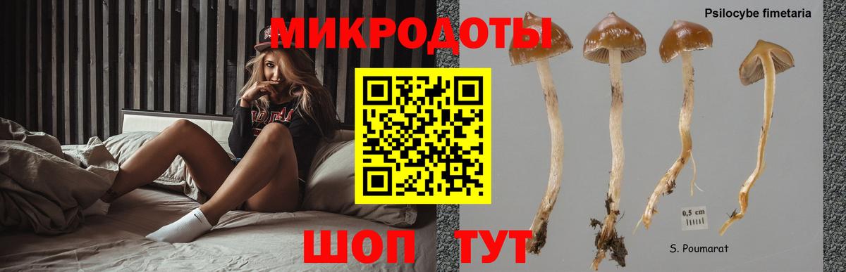 Псилоцибиновые грибы мухоморы  Вход с VPN  Сургут 