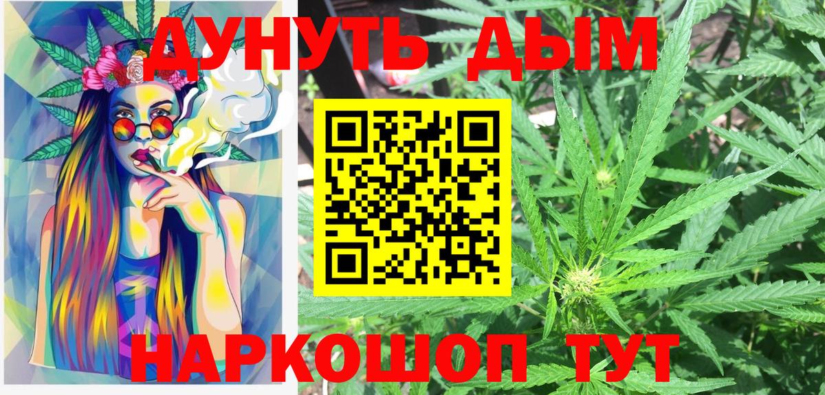 Бошки Шишки MAZAR Сургут